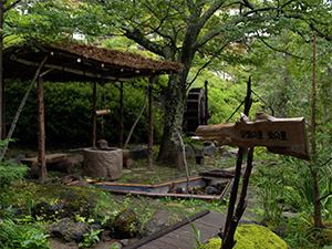 高山植物と清流の庭園