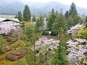 高山植物と清流の庭園